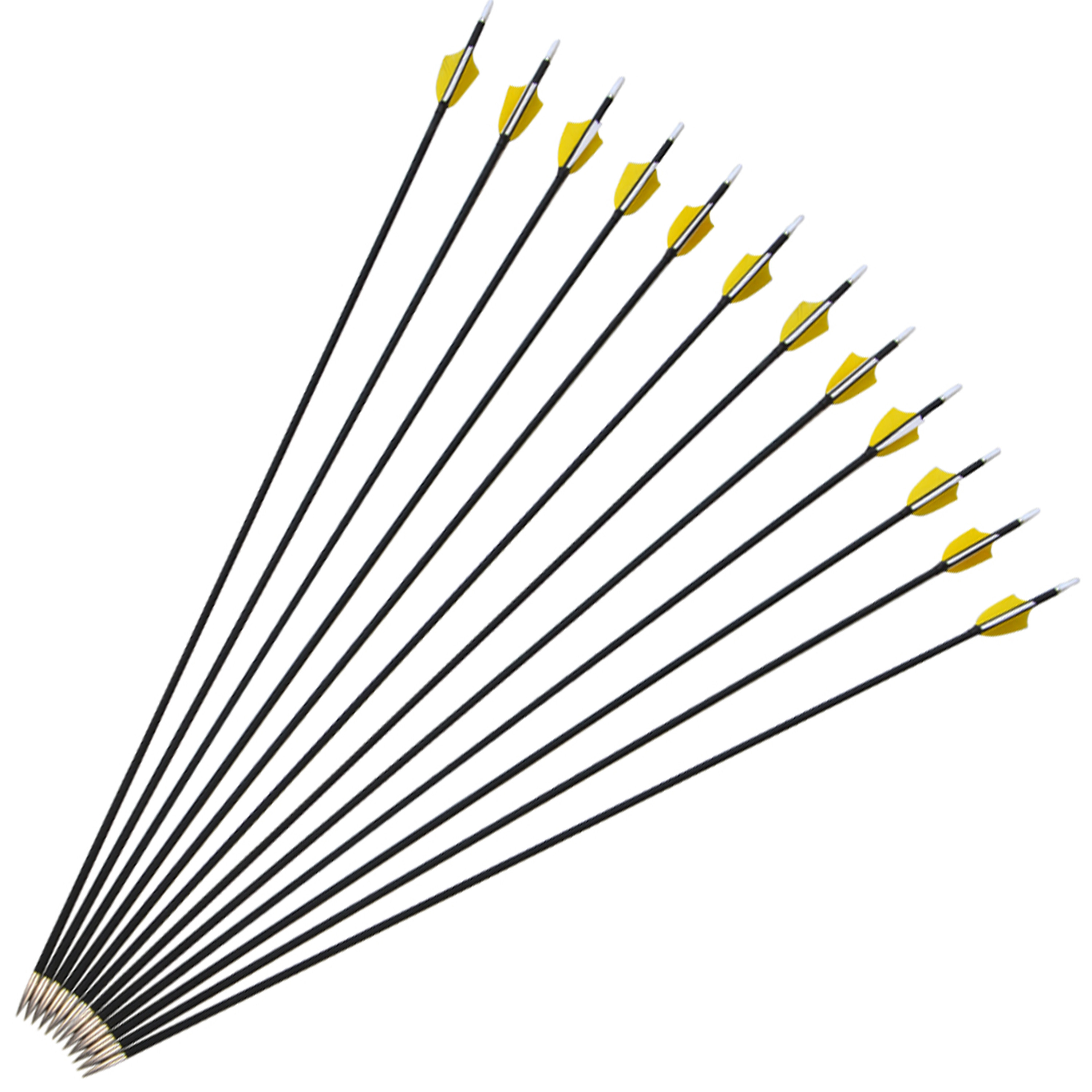 AMEYXGS Carbon Arrows Indoor Target Arrows Spine 1000(12 pack)