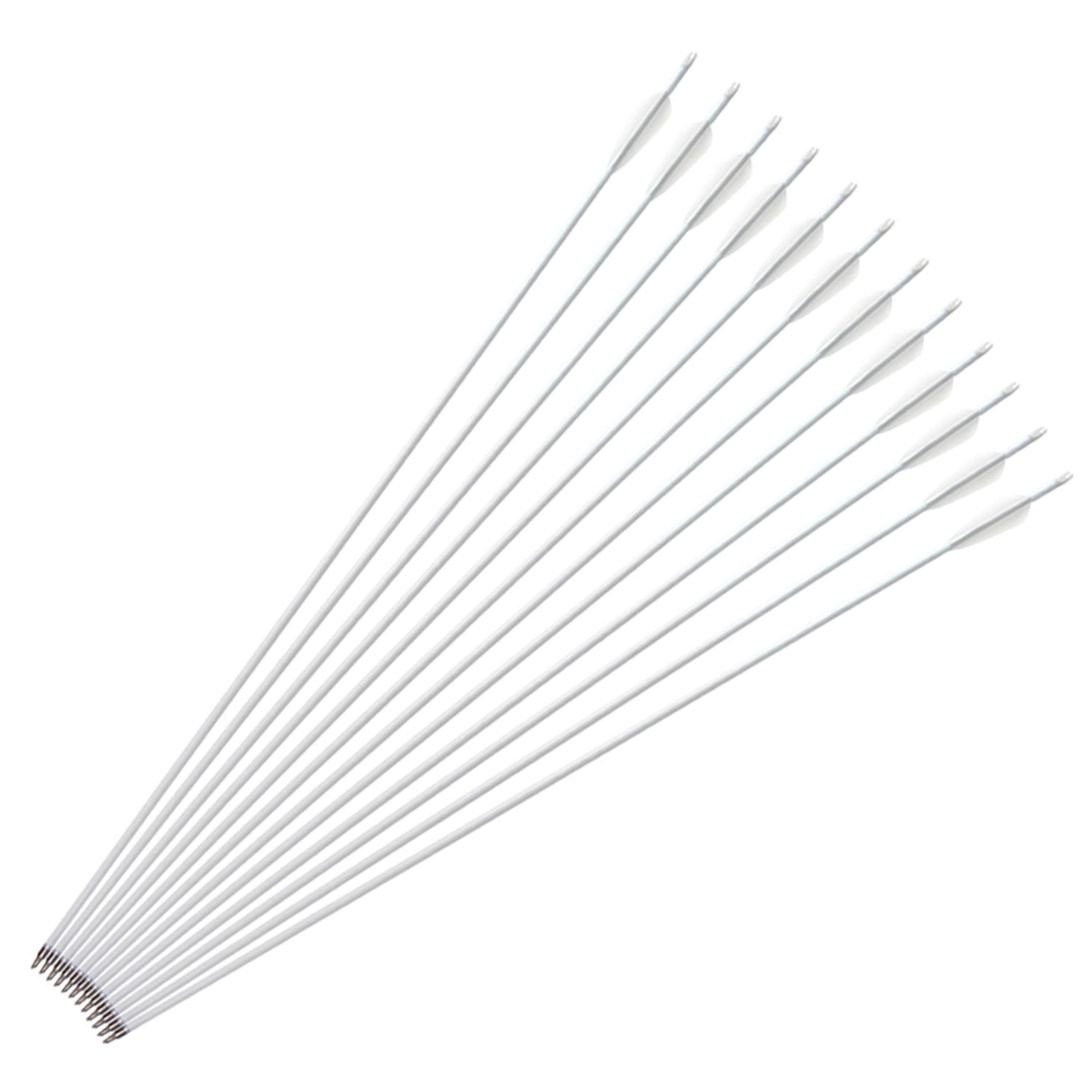 30" Archery Carbon Arrows Spine 500 Compound Bow Arrows(12 Pack)
