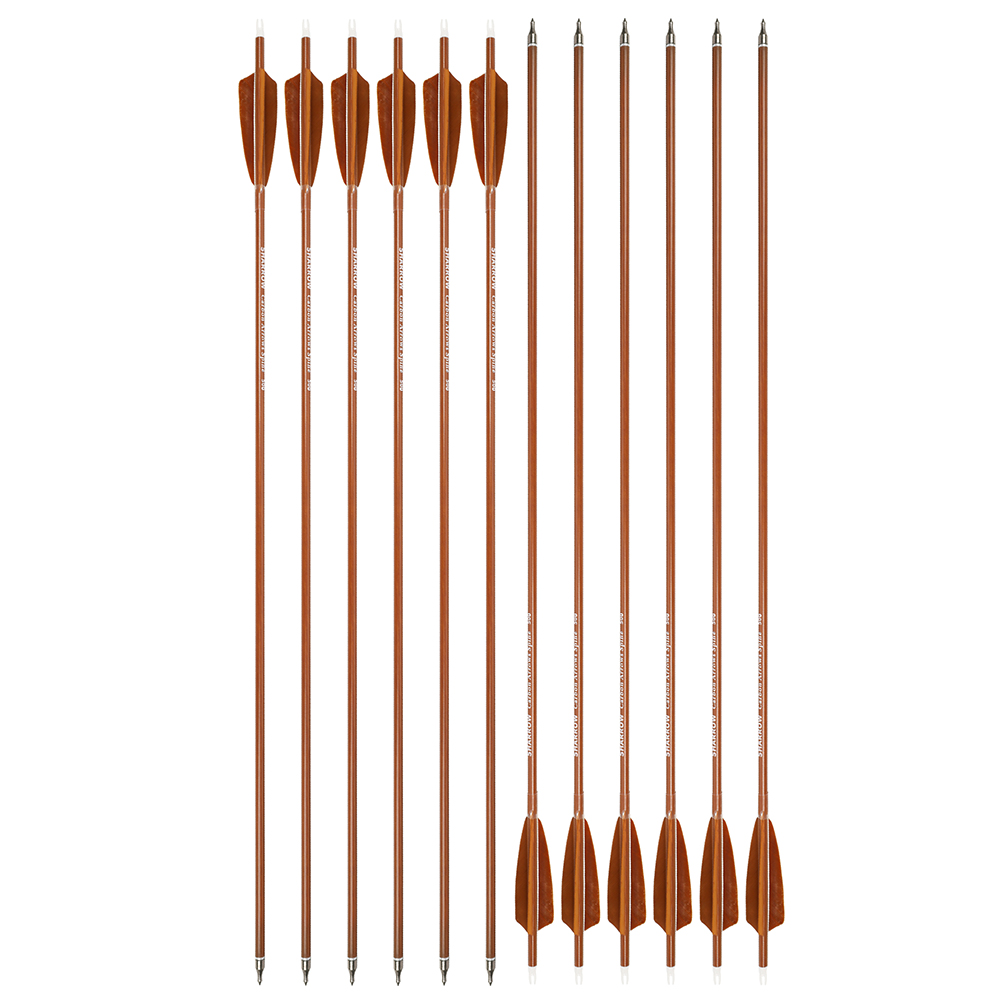 Archery Carbon Arrows with 4" Feather Fletching Spine 500/600 (12 Pack)