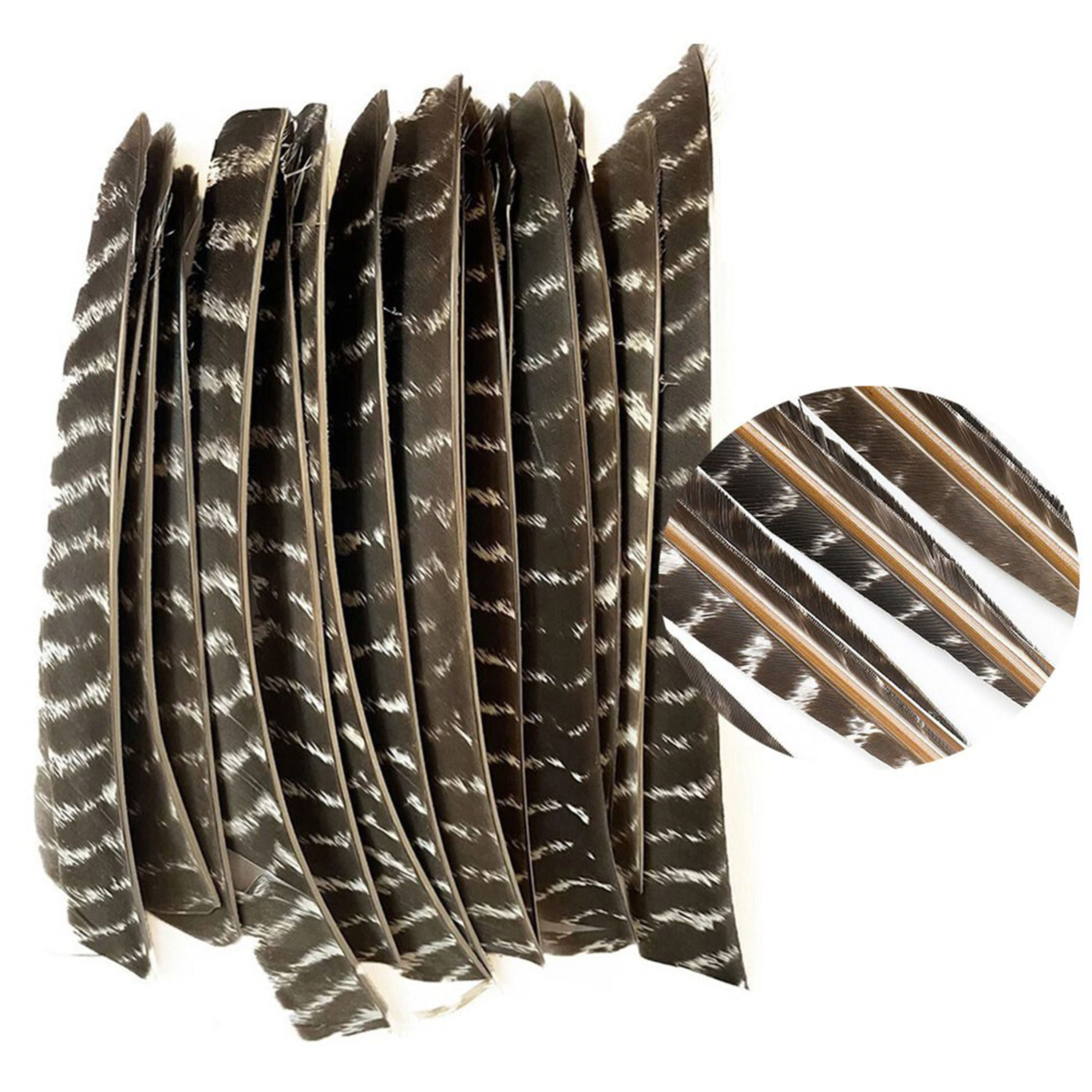 Archery Natural Turkey Feather Right Left Wings DIY Arrows Fletching