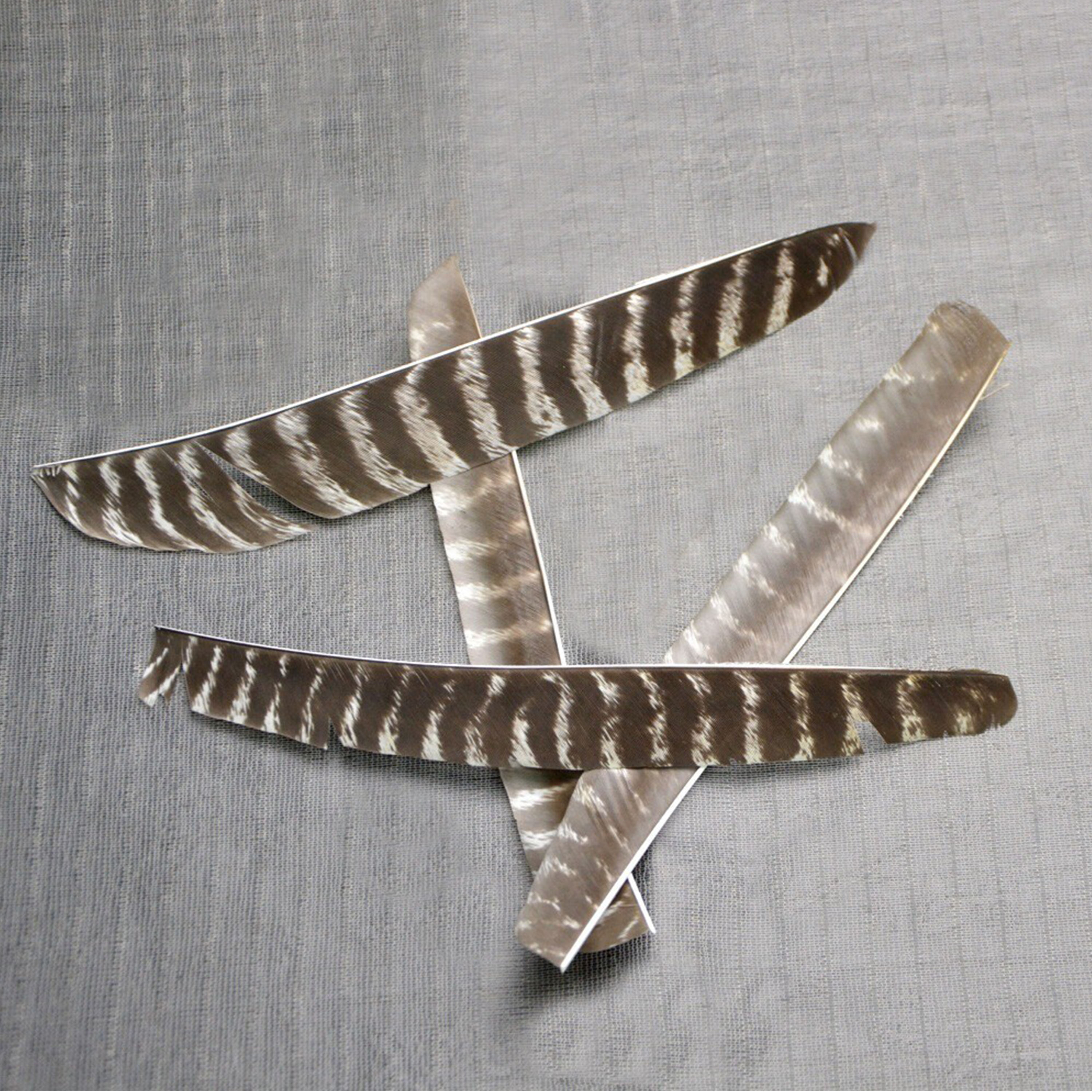 Archery Natural Turkey Feather Right Left Wings DIY Arrows Fletching