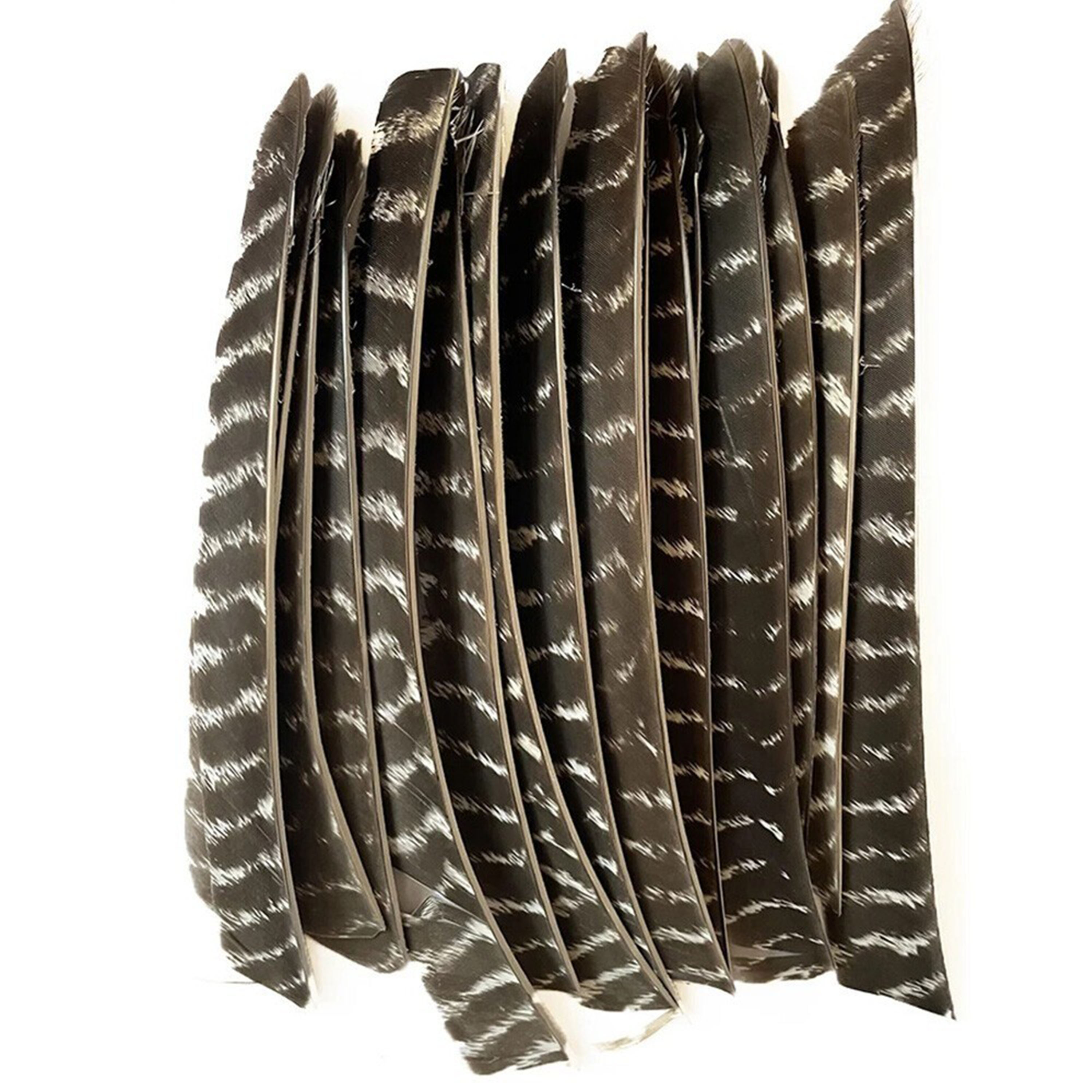 Archery Natural Turkey Feather Right Left Wings DIY Arrows Fletching