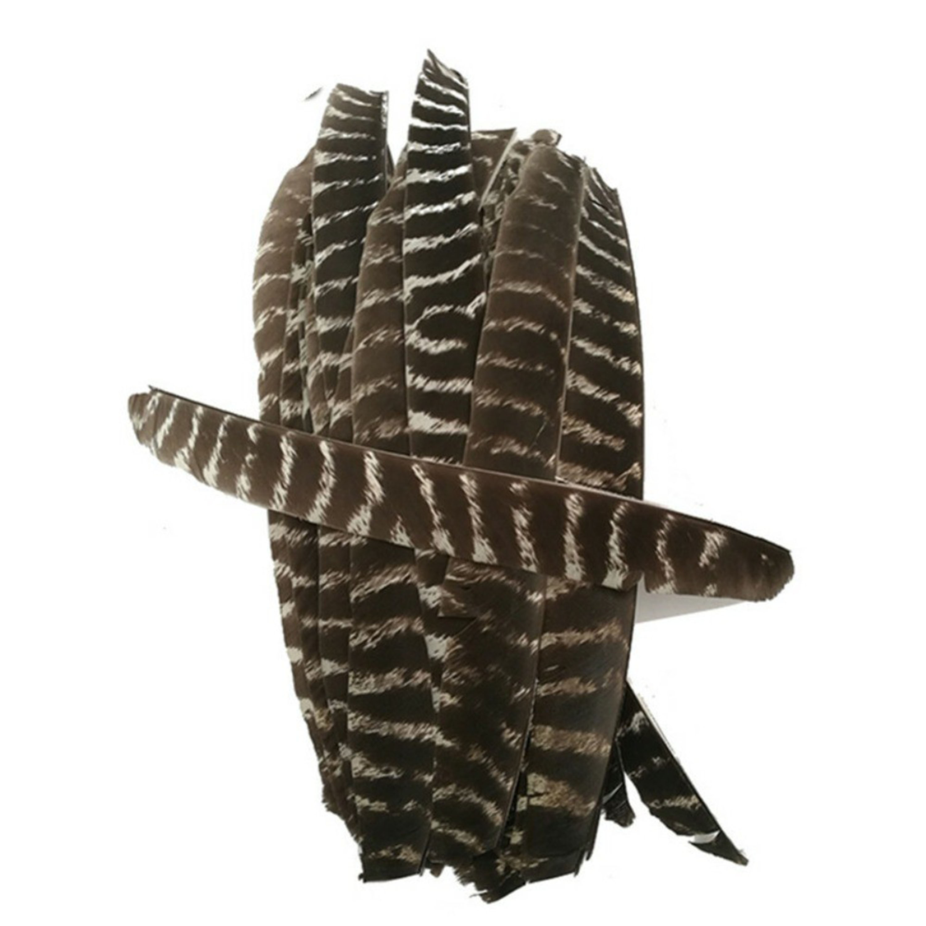 Archery Natural Turkey Feather Right Left Wings DIY Arrows Fletching