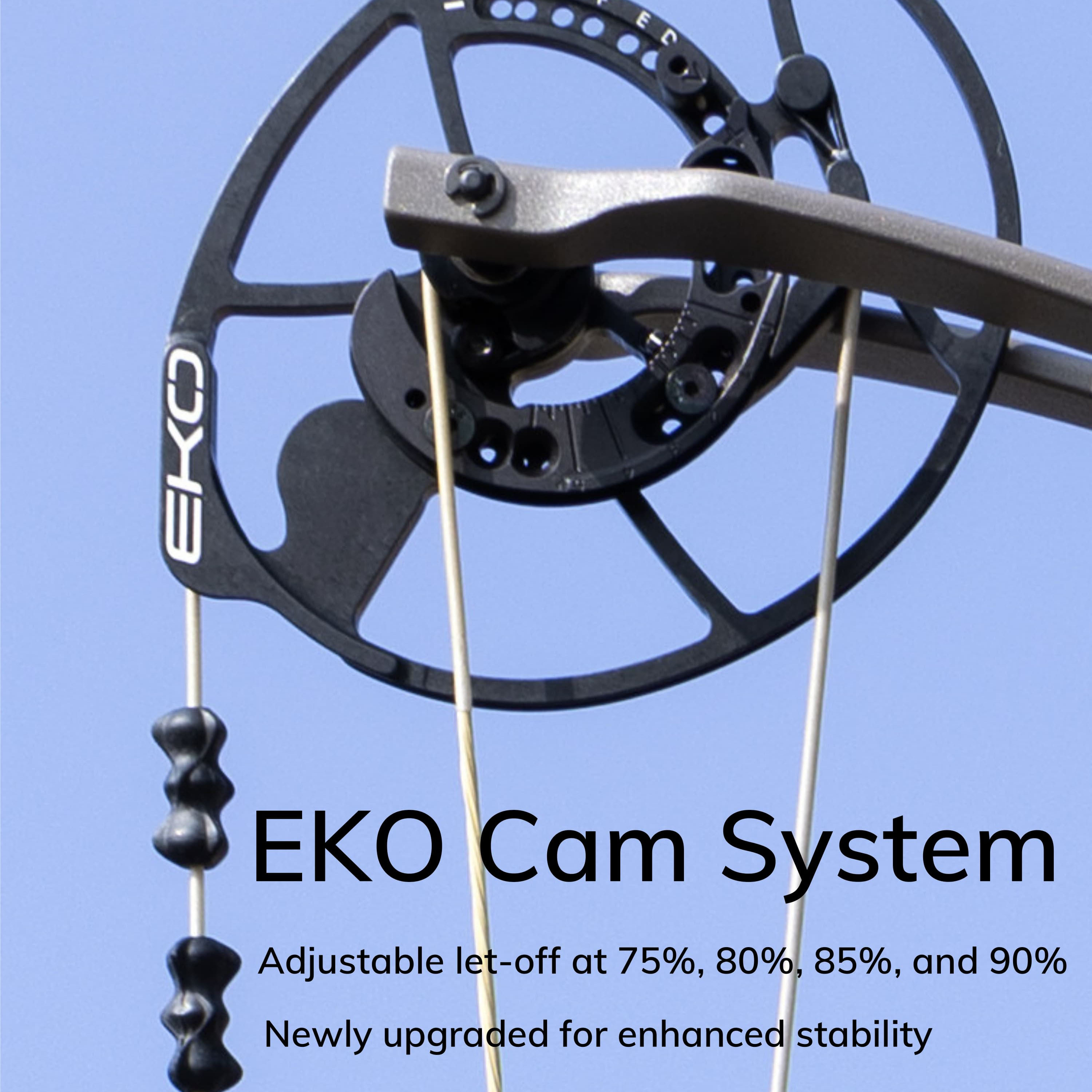 BEAR Hunting Compound Bow 45-70lbs Archery Target 339FPS