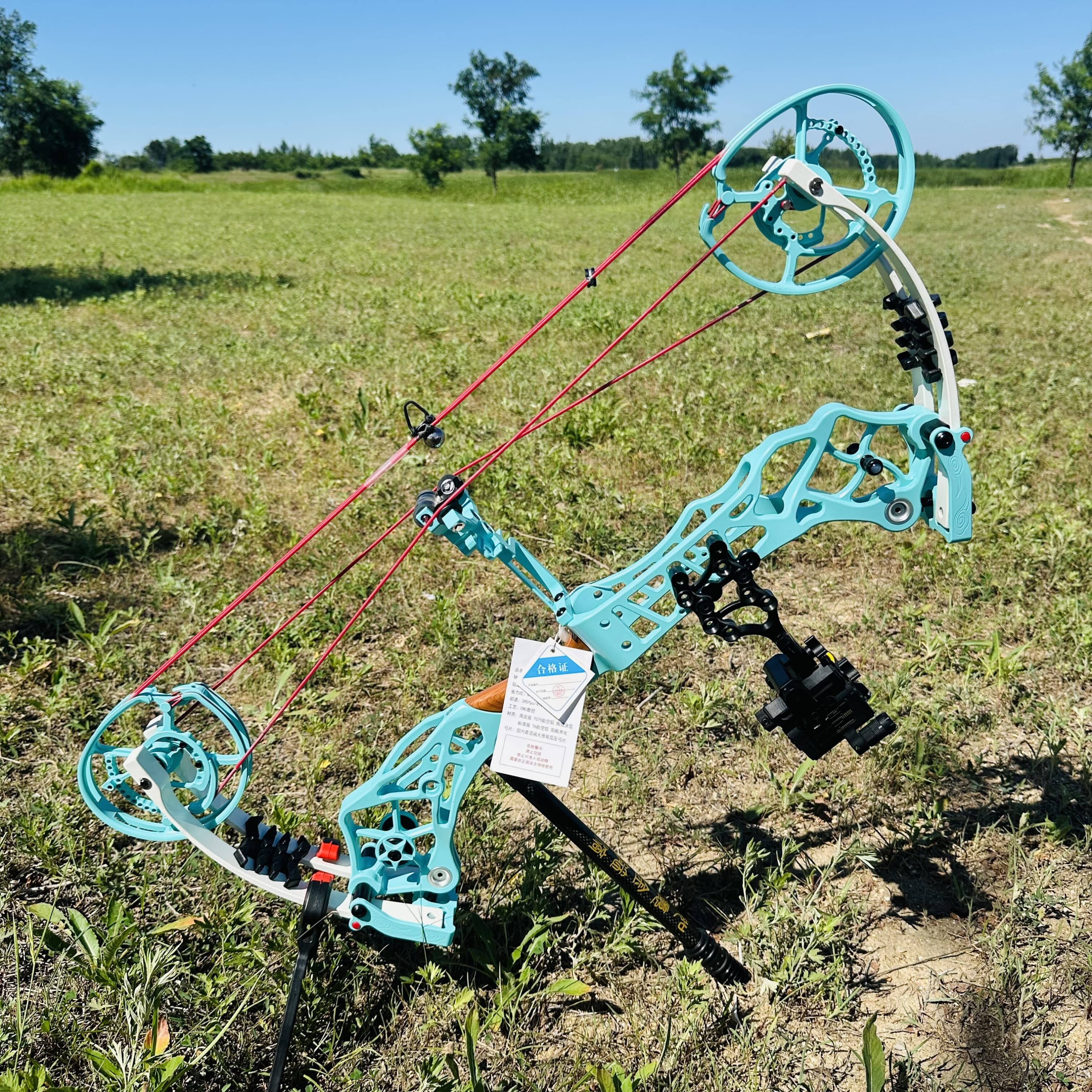 CHN cOMPOUND Bow KIT 40-75lbs Hunting Kit Shooting Archery