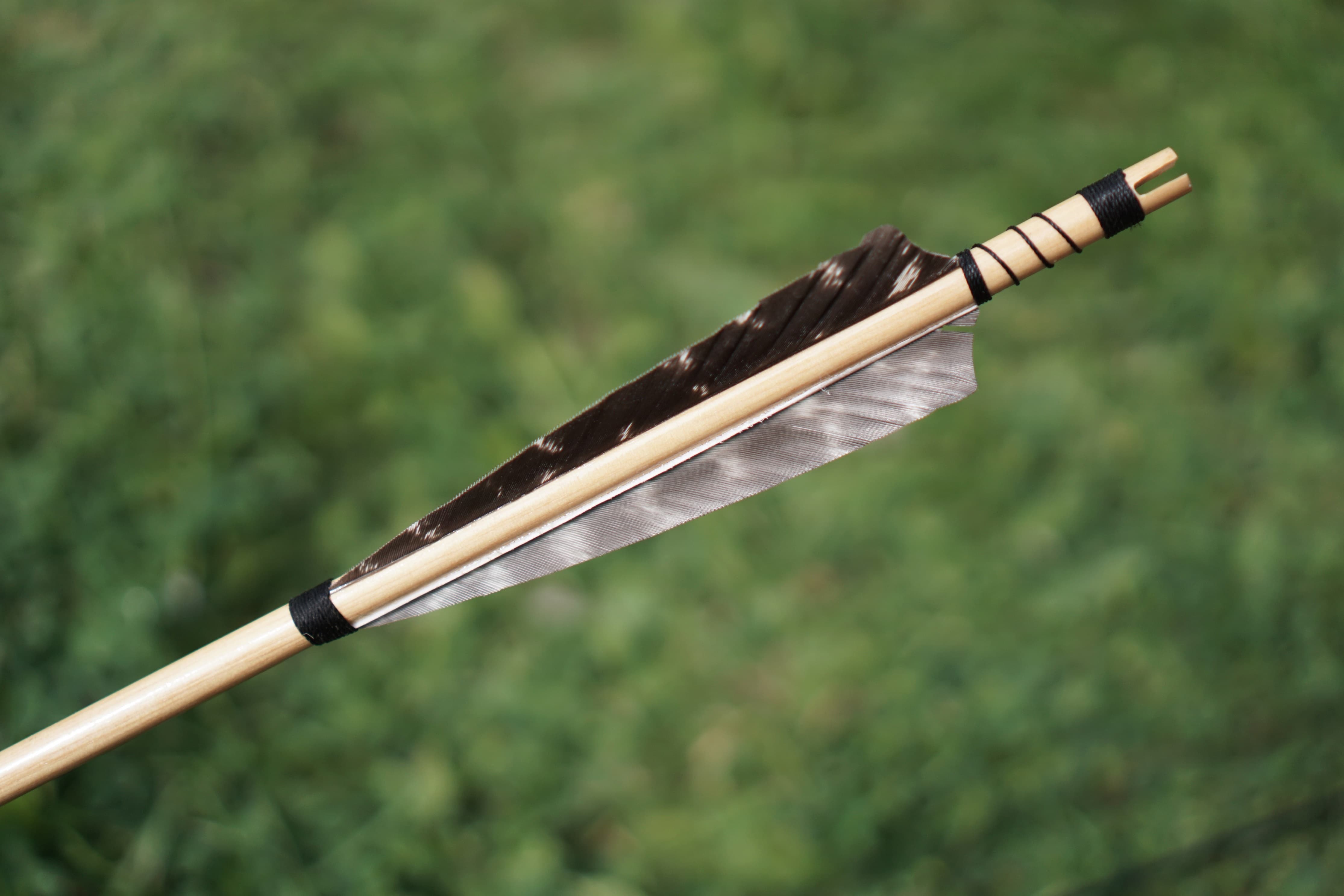 Choosing the Perfect Arrows: A Guide for Your Bow and Shooting Style-CHN Archery
