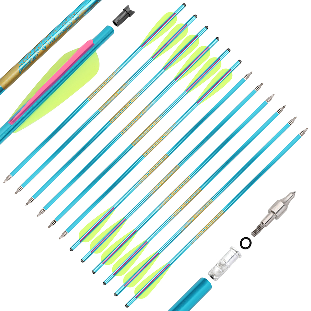DEMON Archery Aluminum Arrow for Compound Bow (12 Pack)