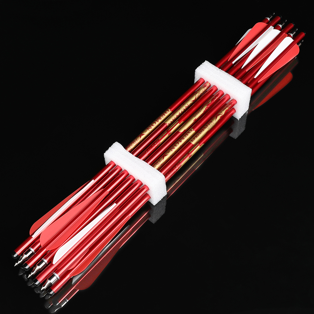 DEMON Archery Aluminum Arrow for Compound Bow (12 Pack)