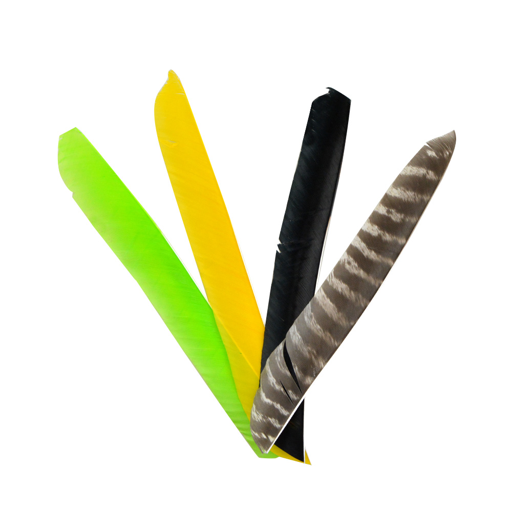 7.9-11.4" Natural Barred Turkey Feathers LW/RW (50 Pack)