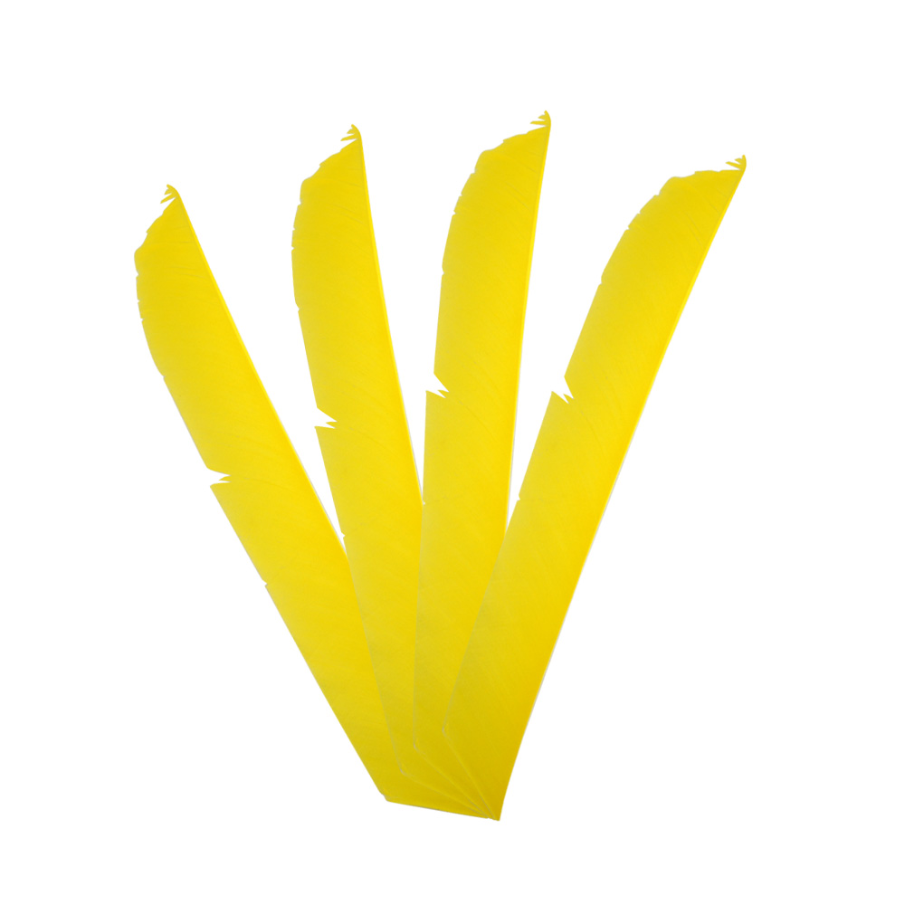 Irregular Real Arrow Feathers 7.9-11.4" LW/RW (50 Pack)