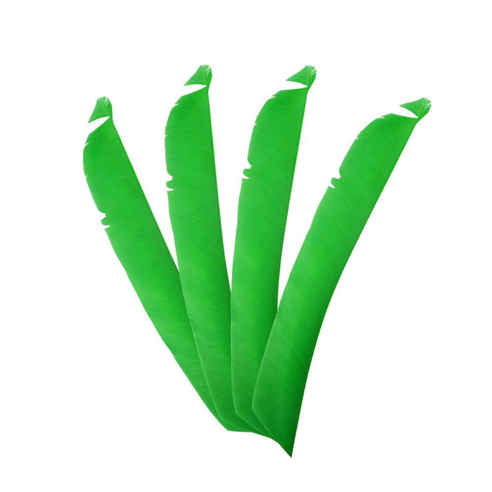 Irregular Real Arrow Feathers 7.9-11.4" LW/RW (50 Pack)