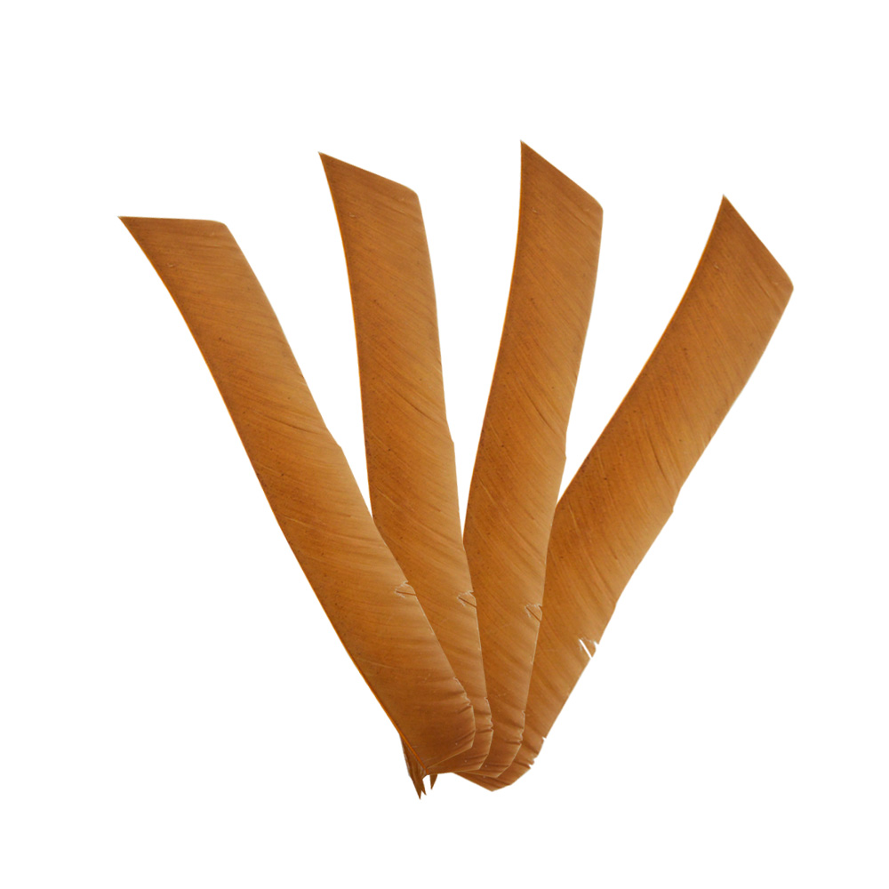 Irregular Real Arrow Feathers 7.9-11.4" LW/RW (50 Pack)