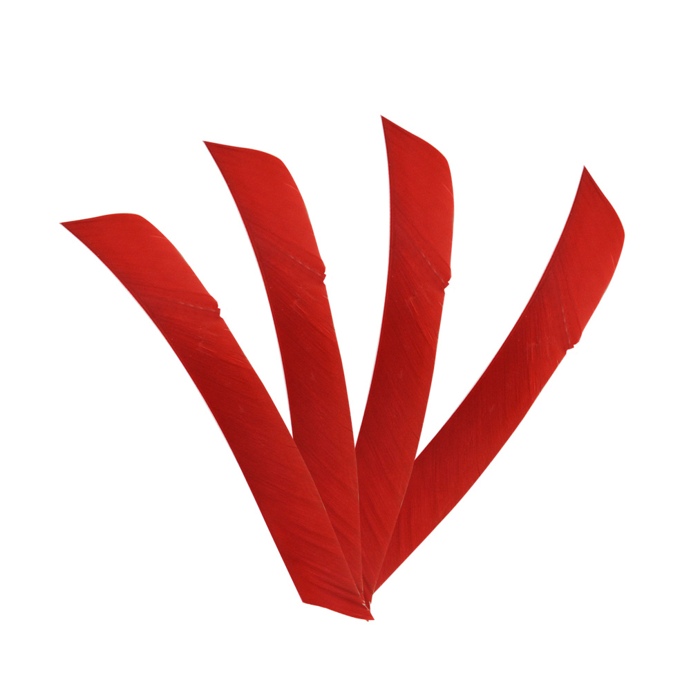 Irregular Real Arrow Feathers 7.9-11.4" LW/RW (50 Pack)