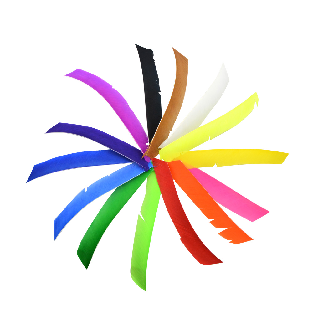 Irregular Real Arrow Feathers 7.9-11.4" LW/RW (50 Pack)