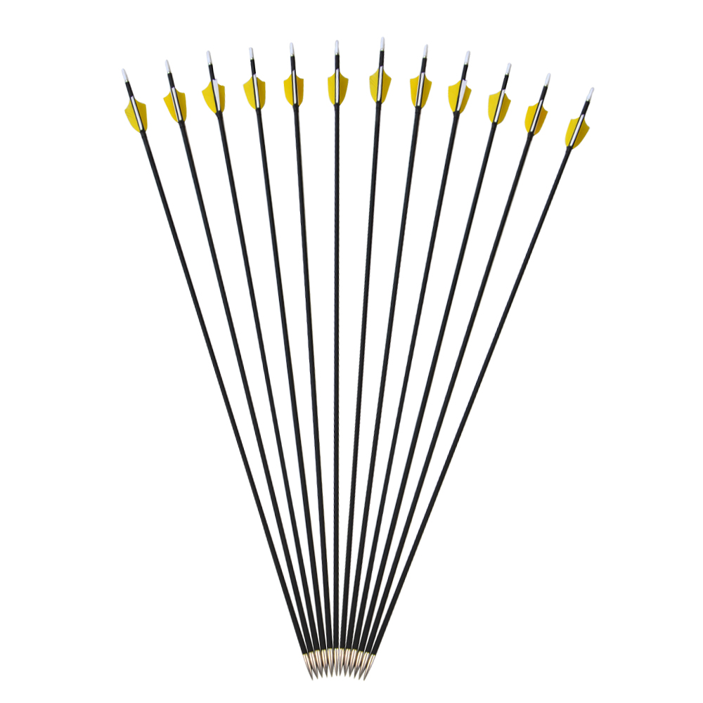 AMEYXGS Carbon Arrows Indoor Target Arrows Spine 1000(12 pack)
