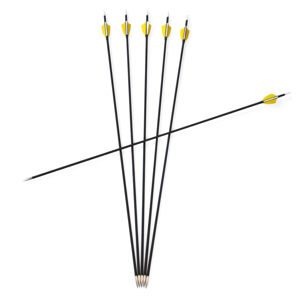 AMEYXGS Carbon Arrows Indoor Target Arrows Spine 1000(12 pack)