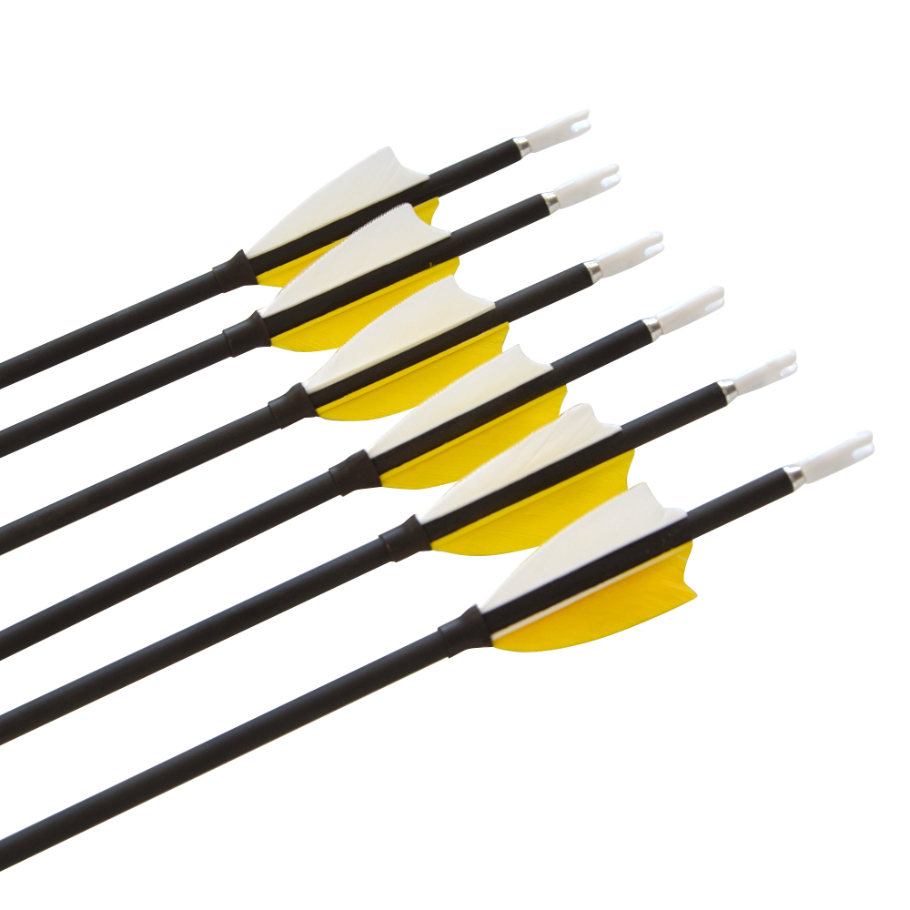 AMEYXGS Carbon Arrows Indoor Target Arrows Spine 1000(12 pack)
