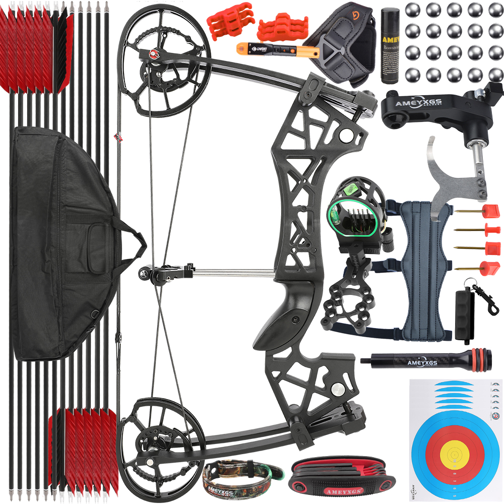 High Speed Dual Use Compound Bow Kit 40-65lbs Arrows Steel Balls