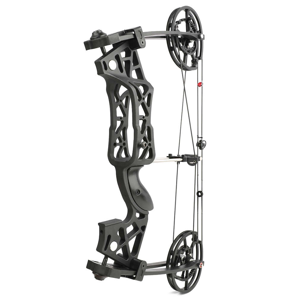 High Speed Dual Use Compound Bow Kit 40-65lbs Arrows Steel Balls