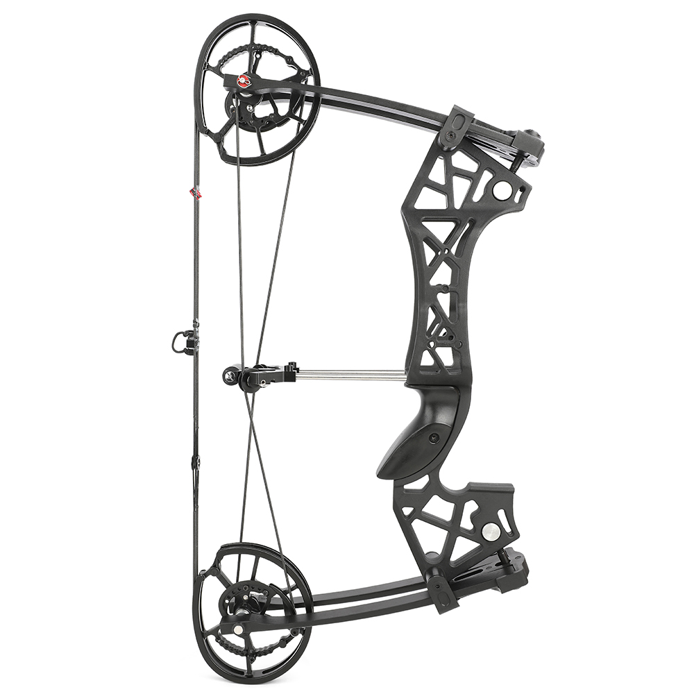 High Speed Dual Use Compound Bow Kit 40-65lbs Arrows Steel Balls