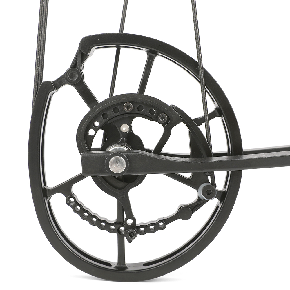 High Speed Dual Use Compound Bow Kit 40-65lbs Arrows Steel Balls