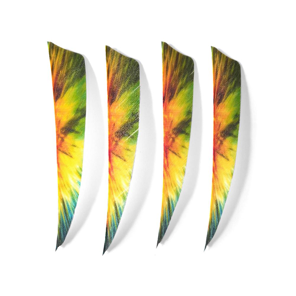 Traditional 4" Shield Cut Barred Archery Feathers RW (50 Pack)