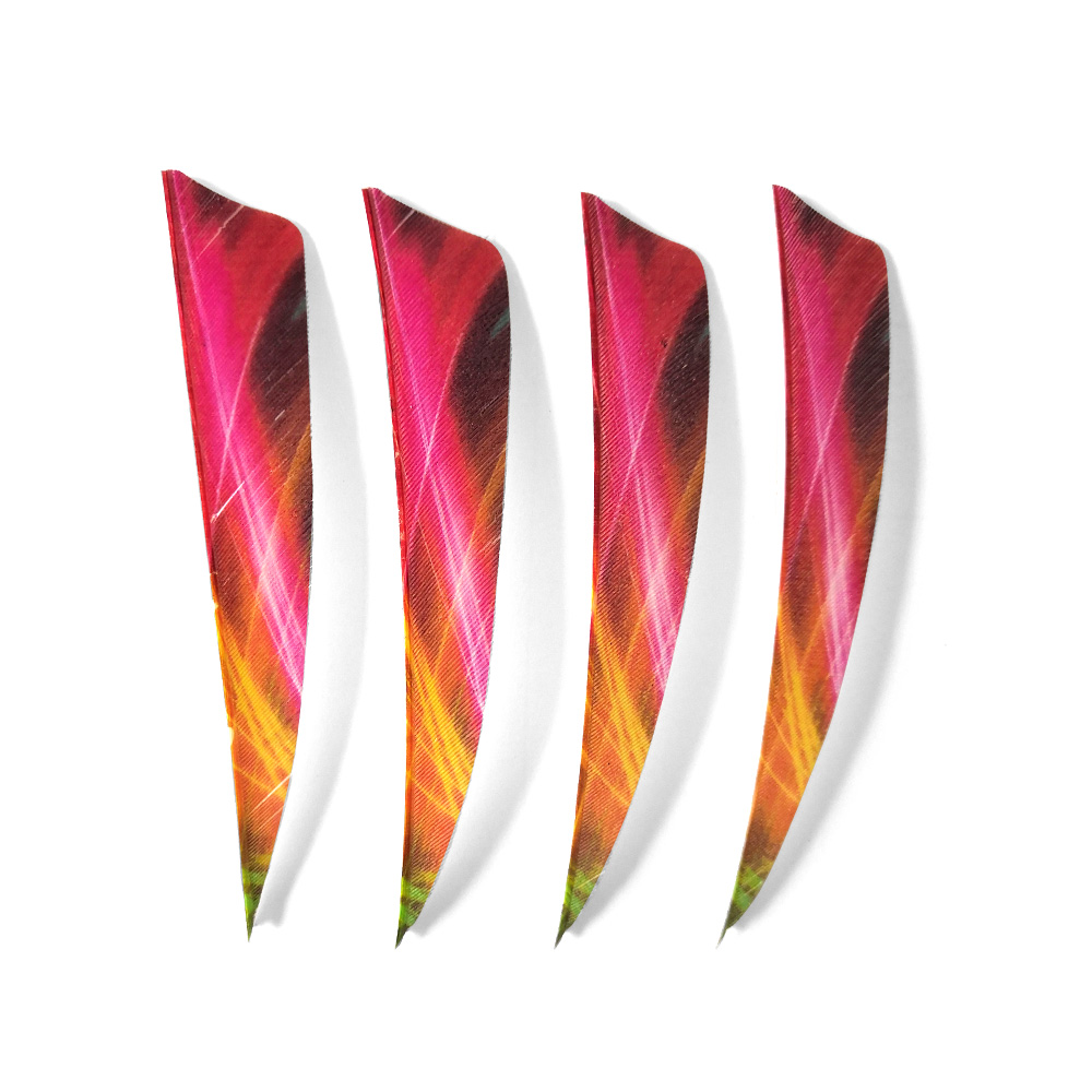 Traditional 4" Shield Cut Barred Archery Feathers RW (50 Pack)