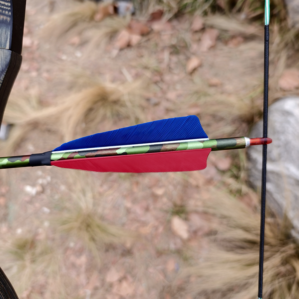 SHARROW 30" Feather Fletched Carbon Arrows Spine 340 (12 Pack)