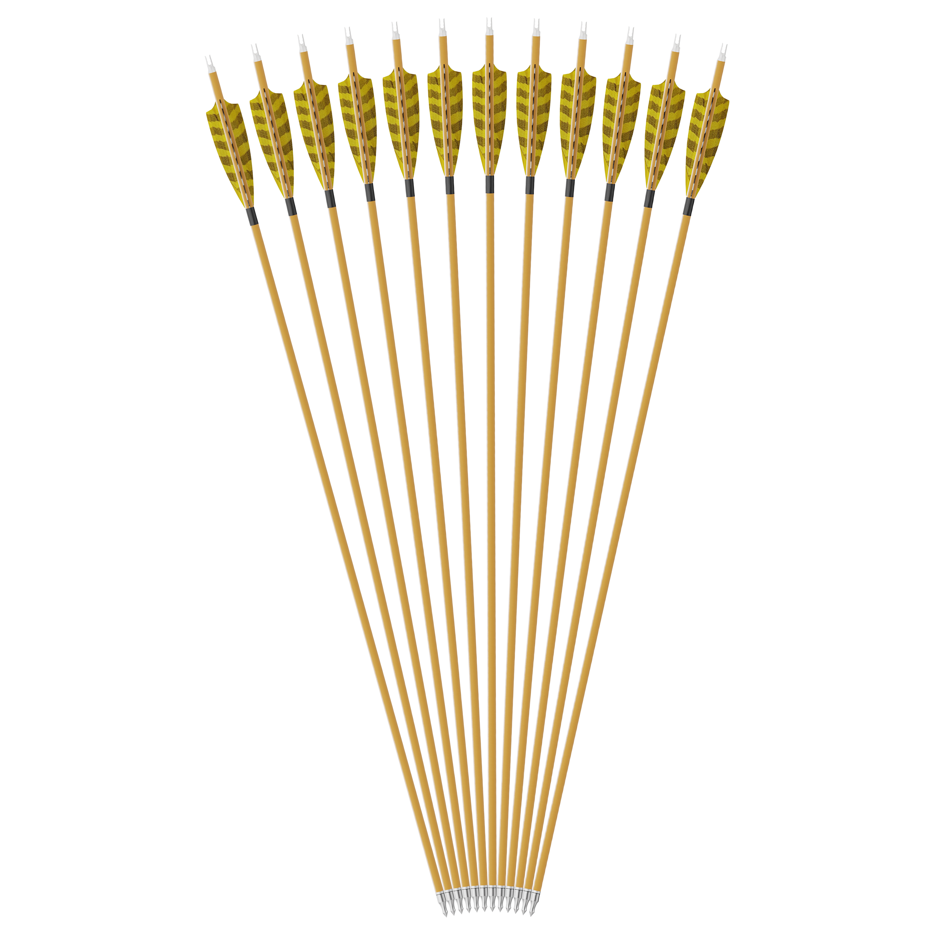 CHN Carbon Arrows with Turkey Feather Shooting Target 6/12X