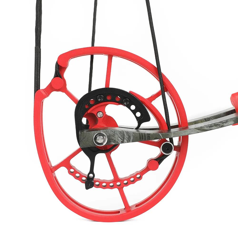 Short Axis Dual-use Compound Hunting Bow 30-70 lbs