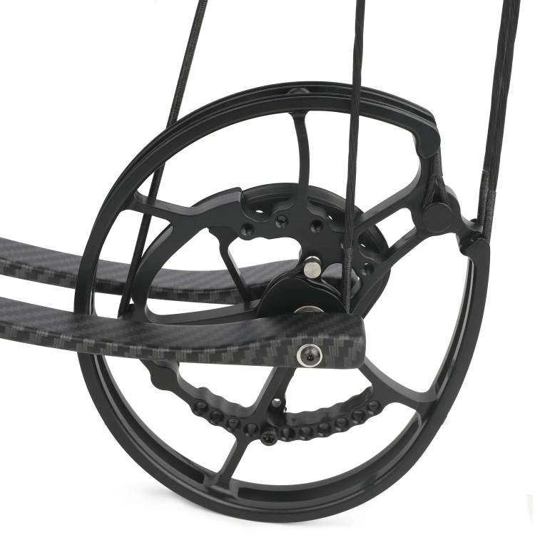 ALIEN Short Axis Ball Bearing Hunting Compound Bow for Small Game