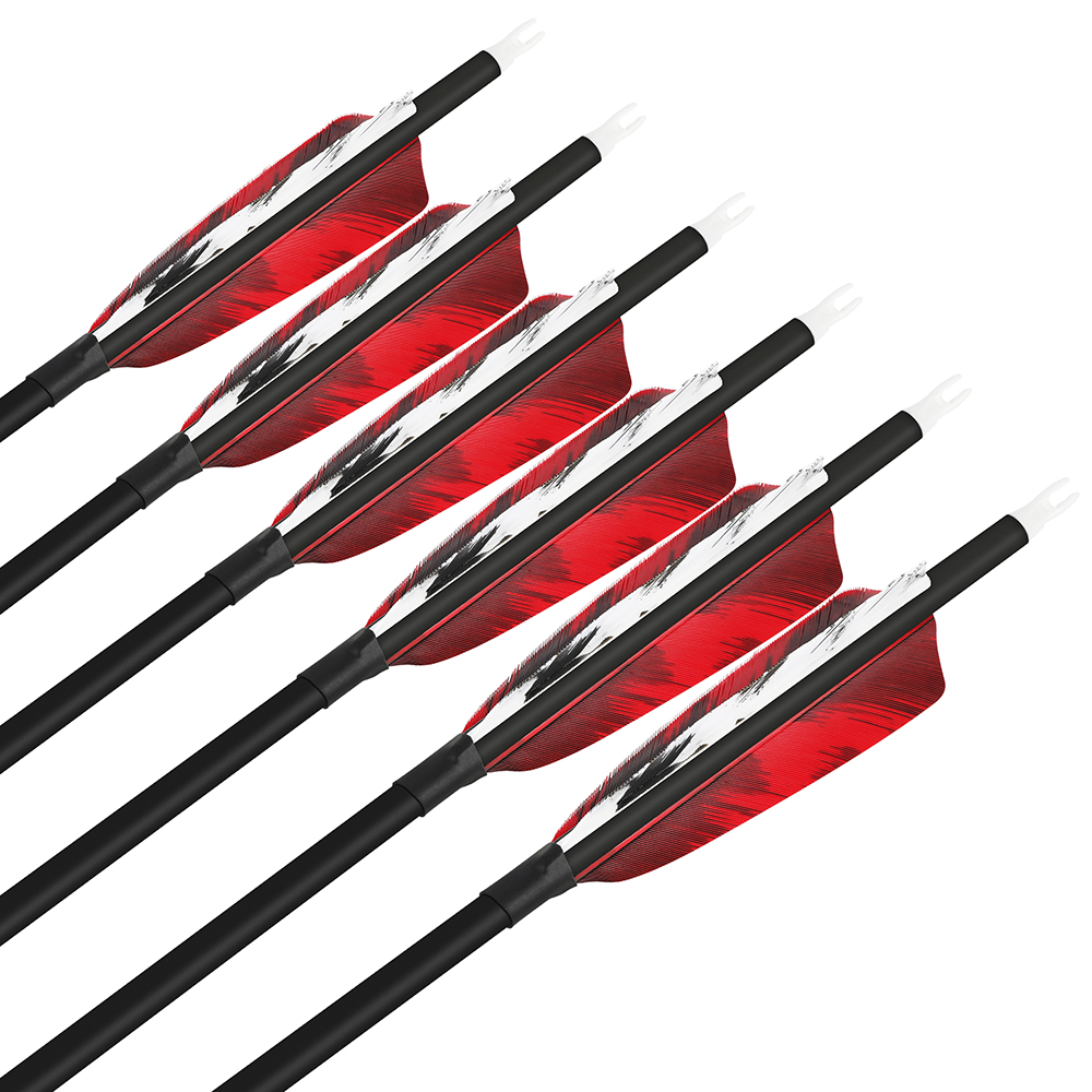 SHARROW 28" 30" 31" Archery Carbon Arrows Spine 500 (12 Pack)