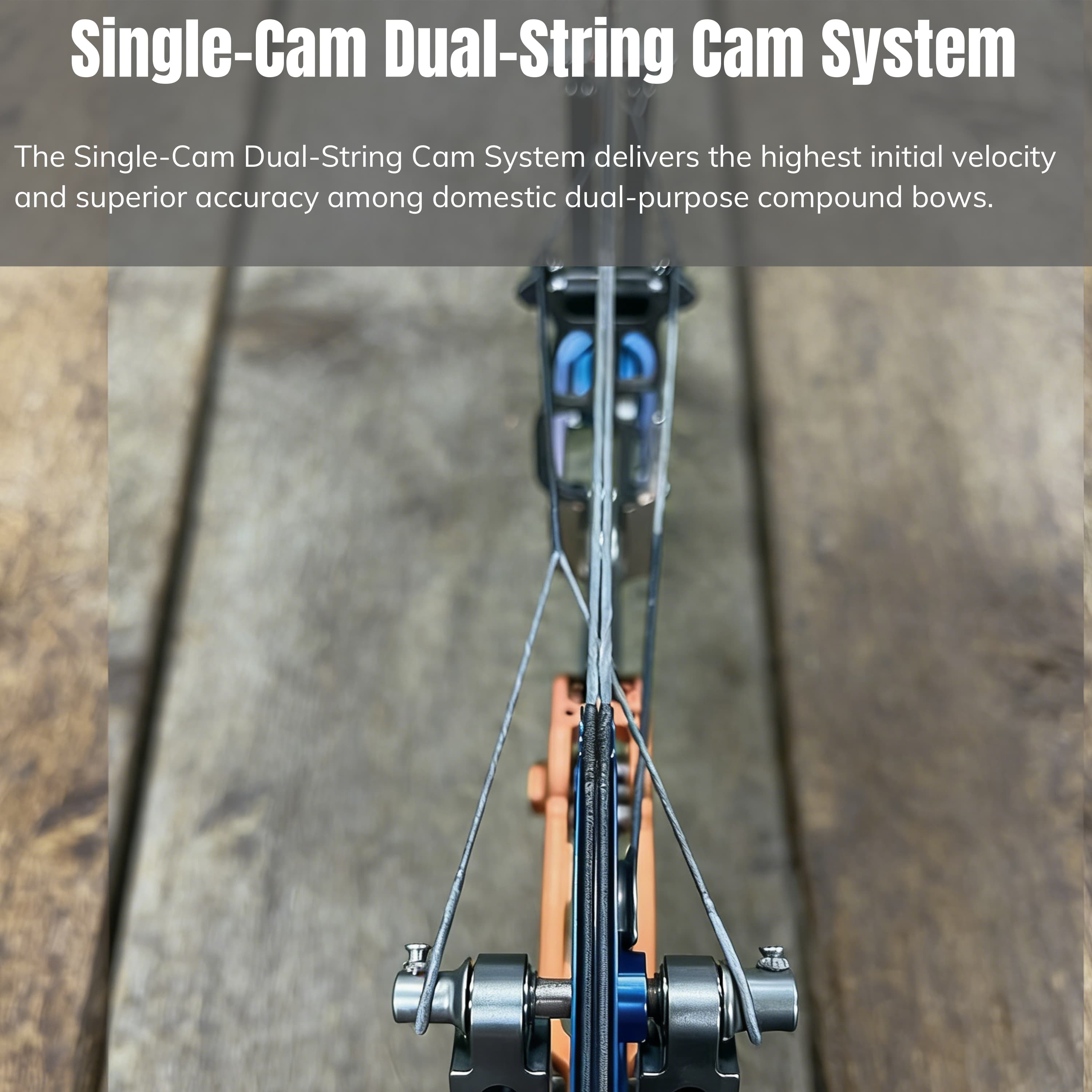 WOLF LEADER 45-70lbs Compound Bow Hunting Kit Shooting Archery