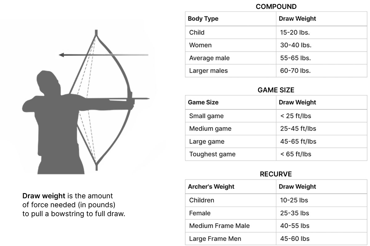 Draw Weight for New Archers Bow Draw Weight ChartsCHN Archery