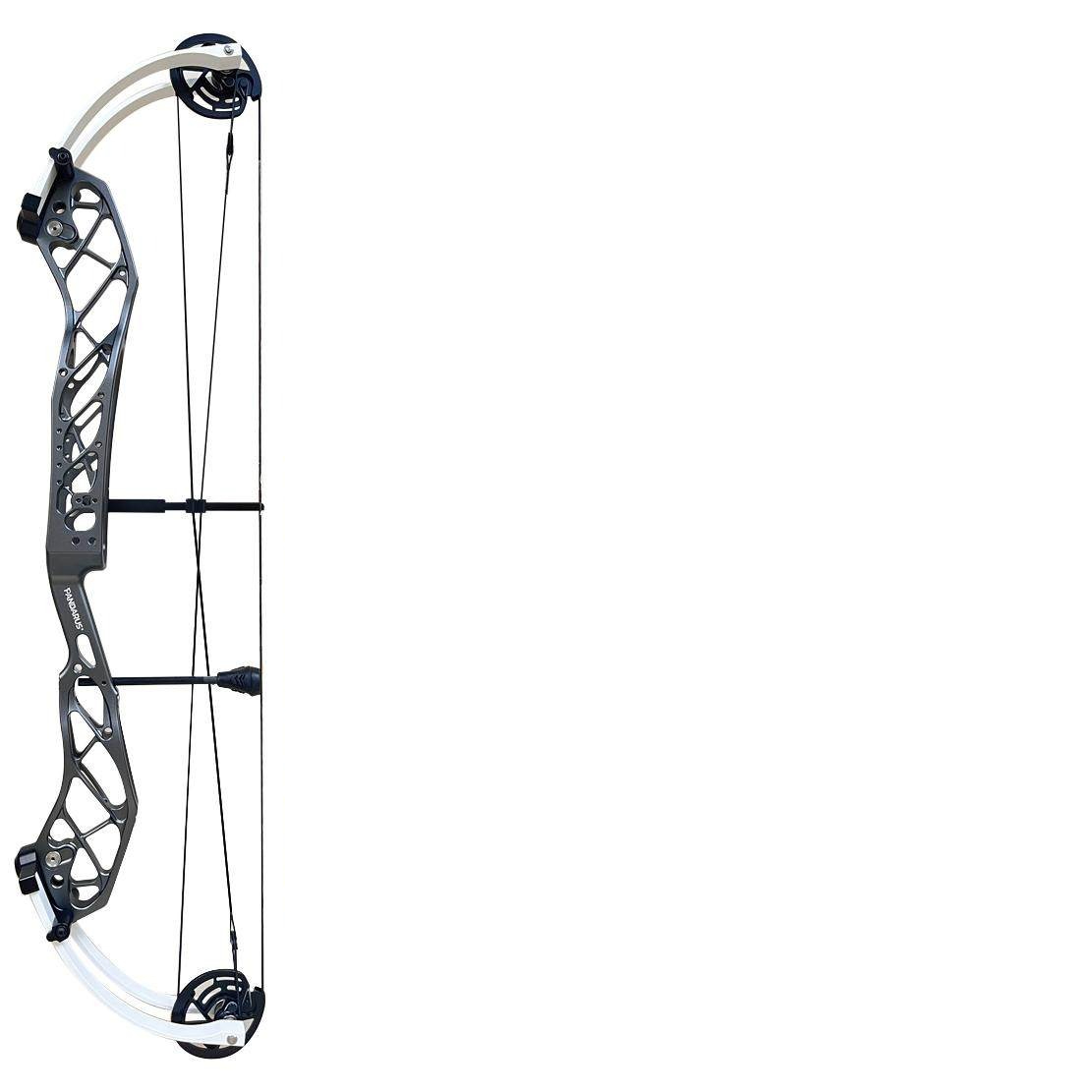 PANDARUS Cambrian 40-inch Target Archery Compound Bow