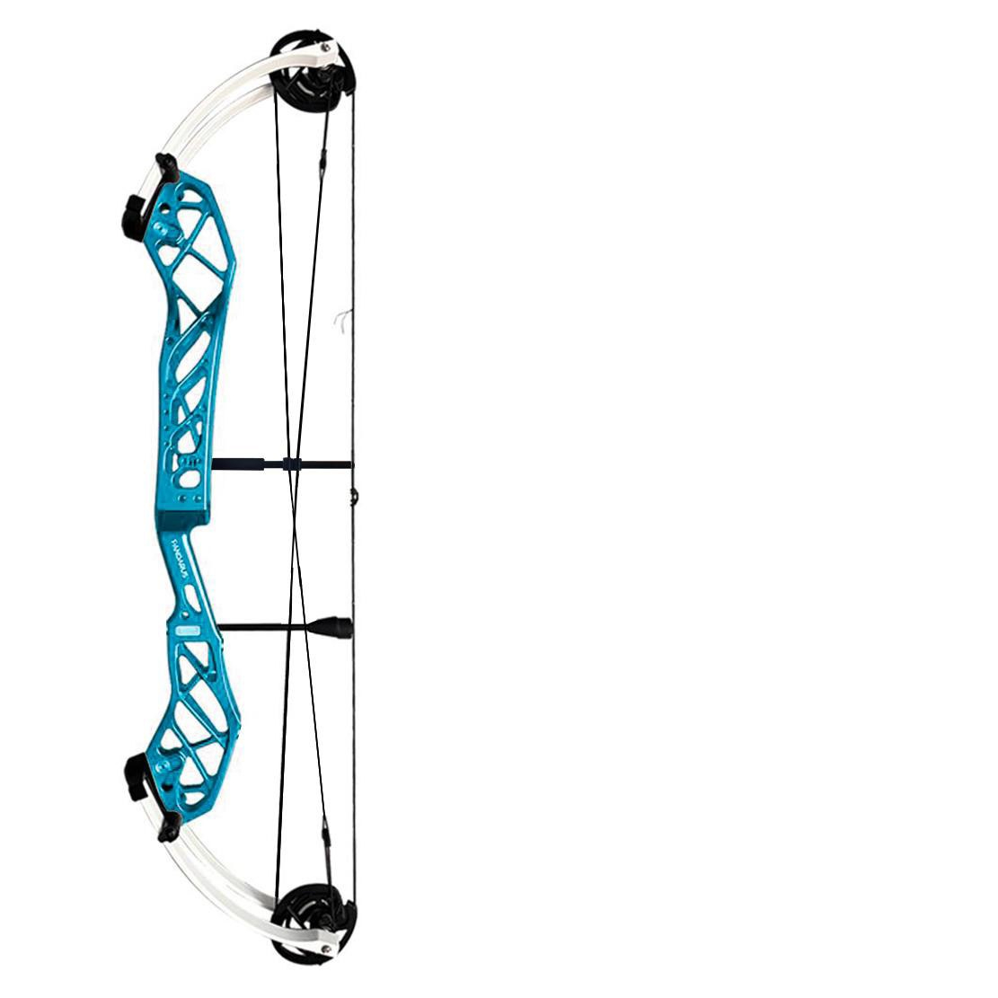 PANDARUS Cambrian 40-inch Target Archery Compound Bow