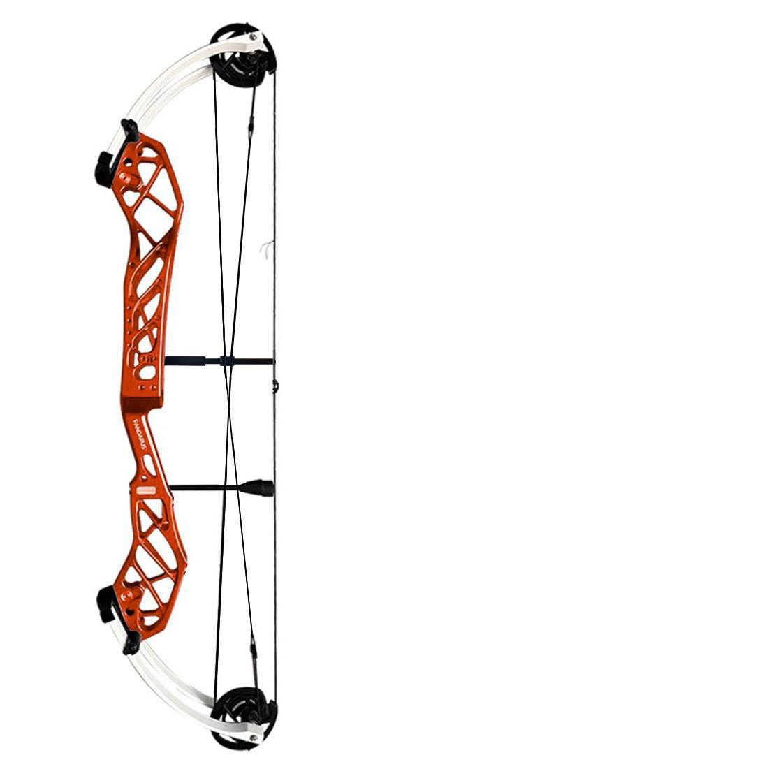 PANDARUS Cambrian 40-inch Target Archery Compound Bow