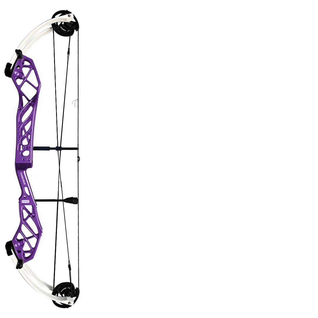 PANDARUS Cambrian 40-inch Target Archery Compound Bow