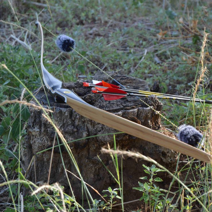 AMEYXGS Flame Series Hunting Bow, American Longbow, Purple & Blue