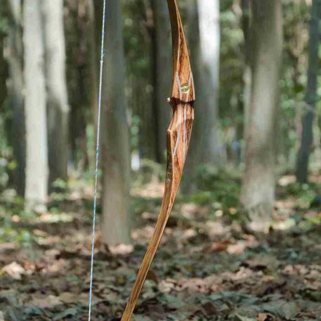 AMEYXGS Flame Series Hunting Bow, American Longbow, Purple & Blue