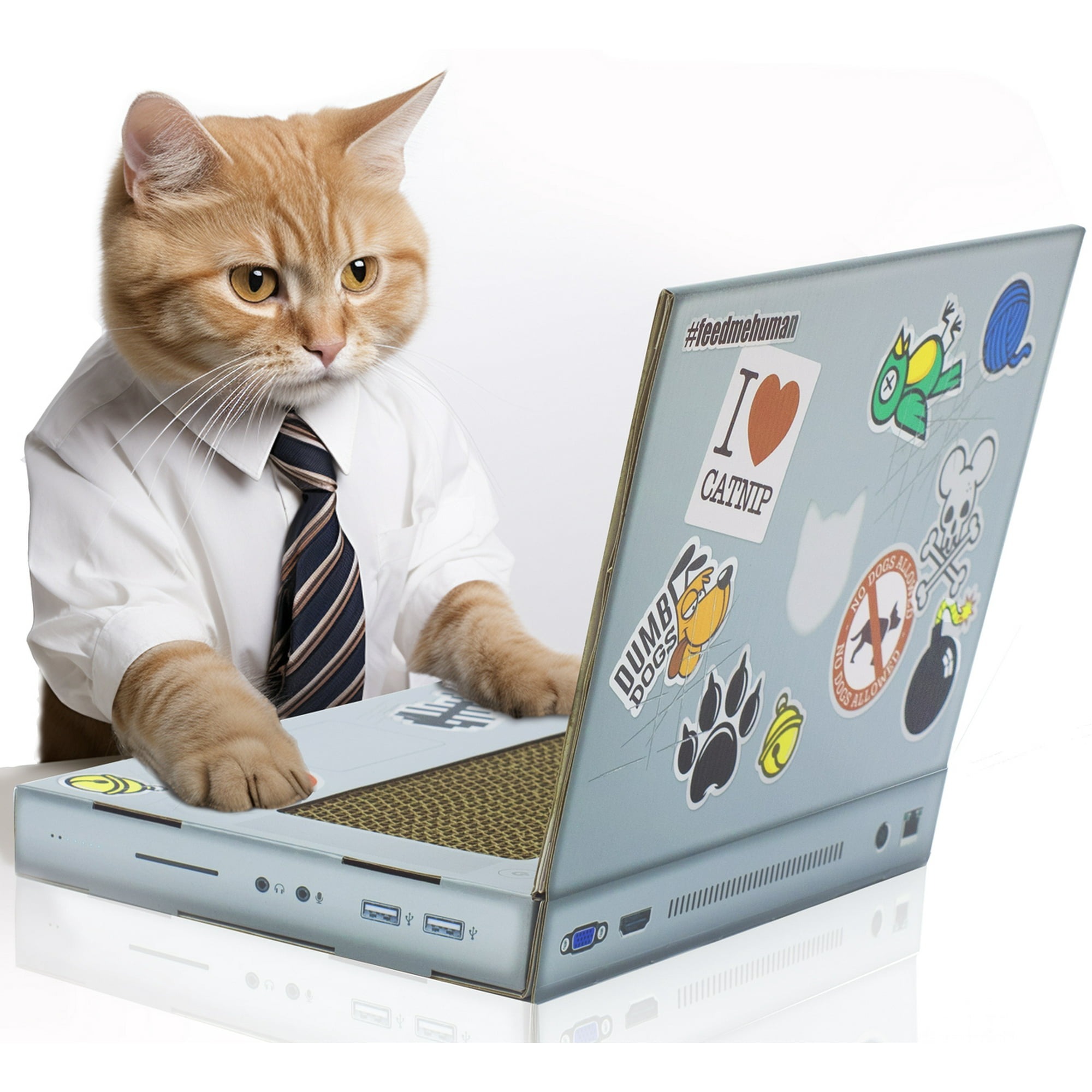 Cat Scratcher Laptop with 'Mouse' 