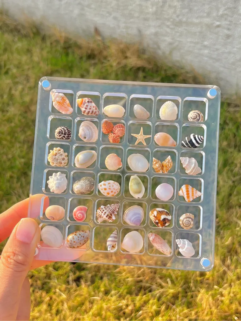 🌊Shell Specimens Acrylic Display Case with 36 Compartments🐚