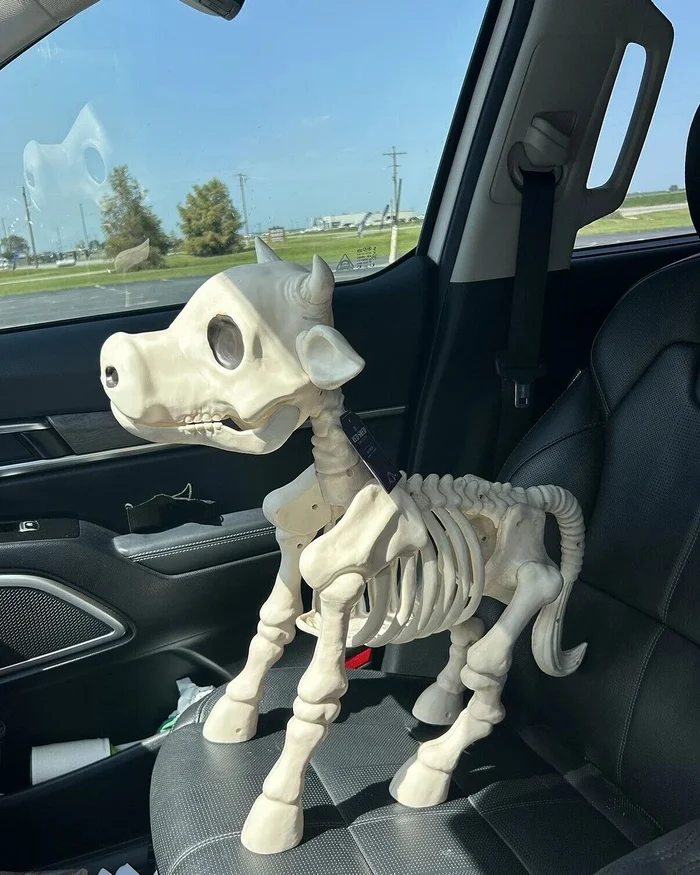 🐂🐎Cow & Horse Skeleton Halloween Decorative Prop🎃