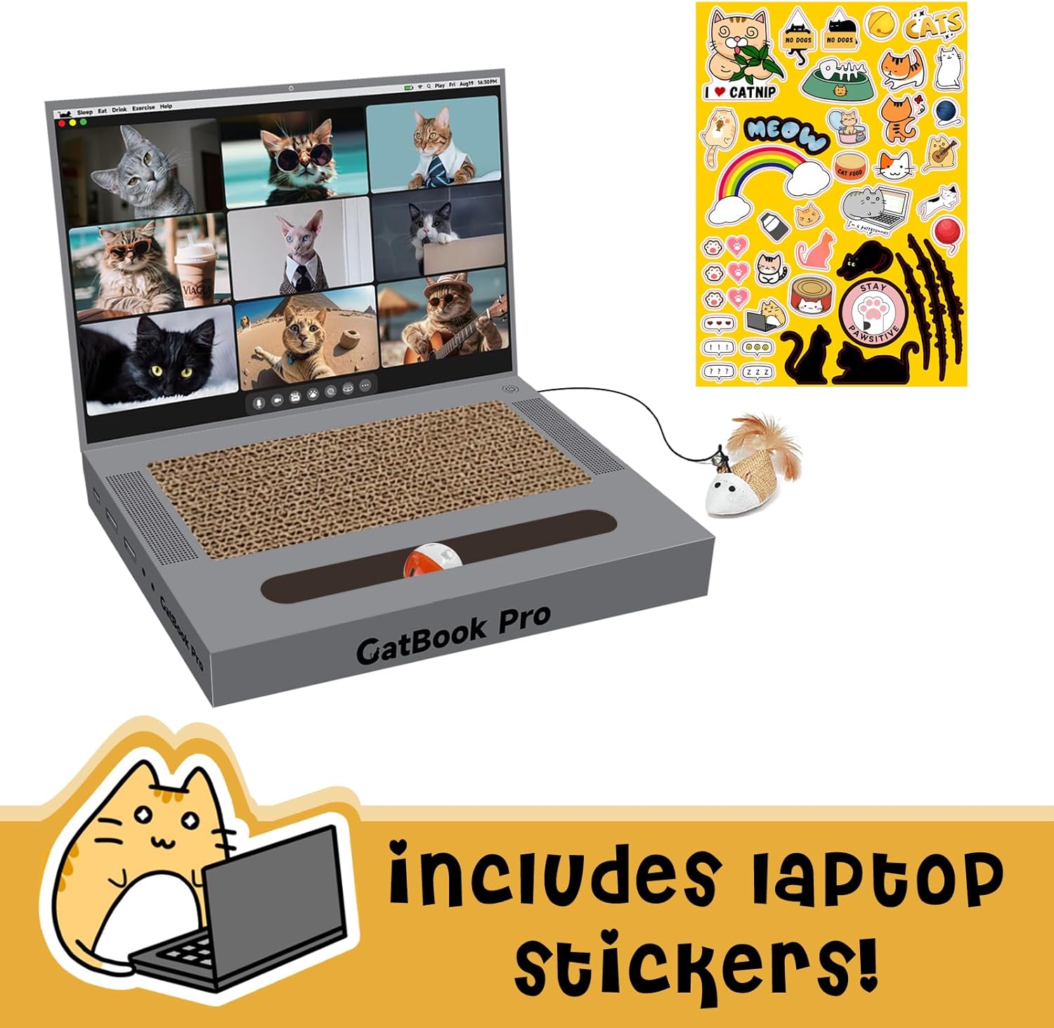 Cat Scratcher Laptop with 'Mouse' 