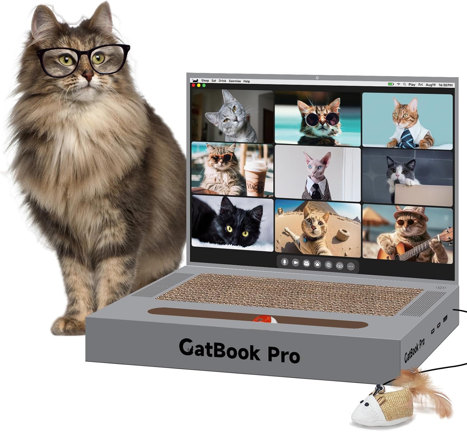 Cat Scratcher Laptop with 'Mouse' 
