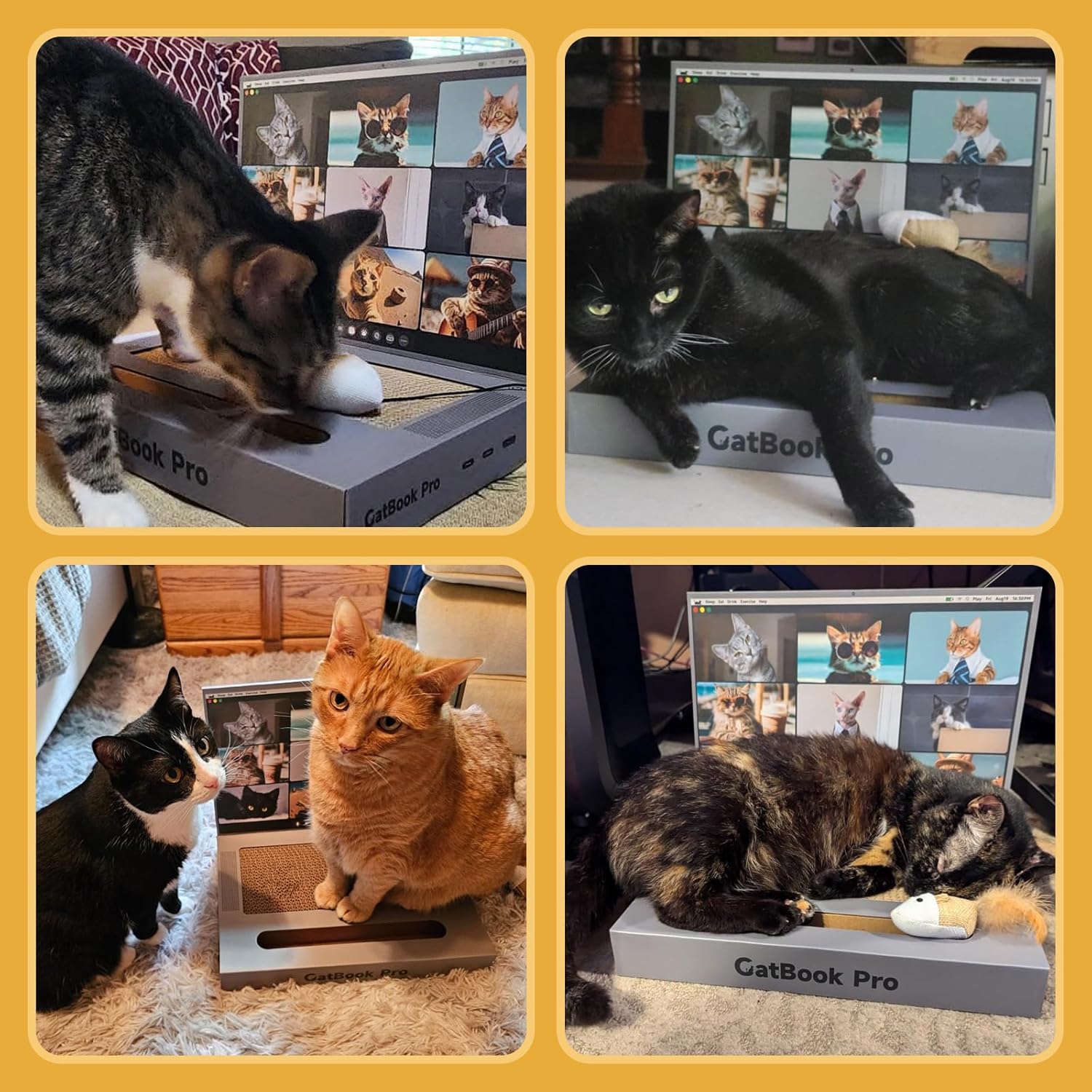 Cat Scratcher Laptop with 'Mouse' 