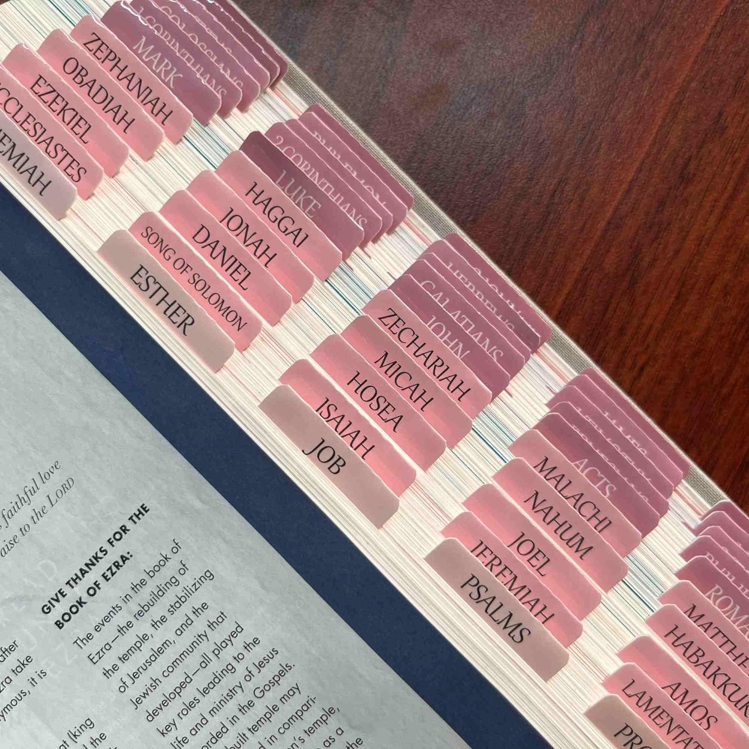 Laminated Bible Tabs - 75 Bible Index Tabs (66 Book Names + 9 Blanks)