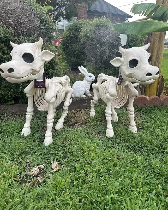 🐂🐎Cow & Horse Skeleton Halloween Decorative Prop🎃