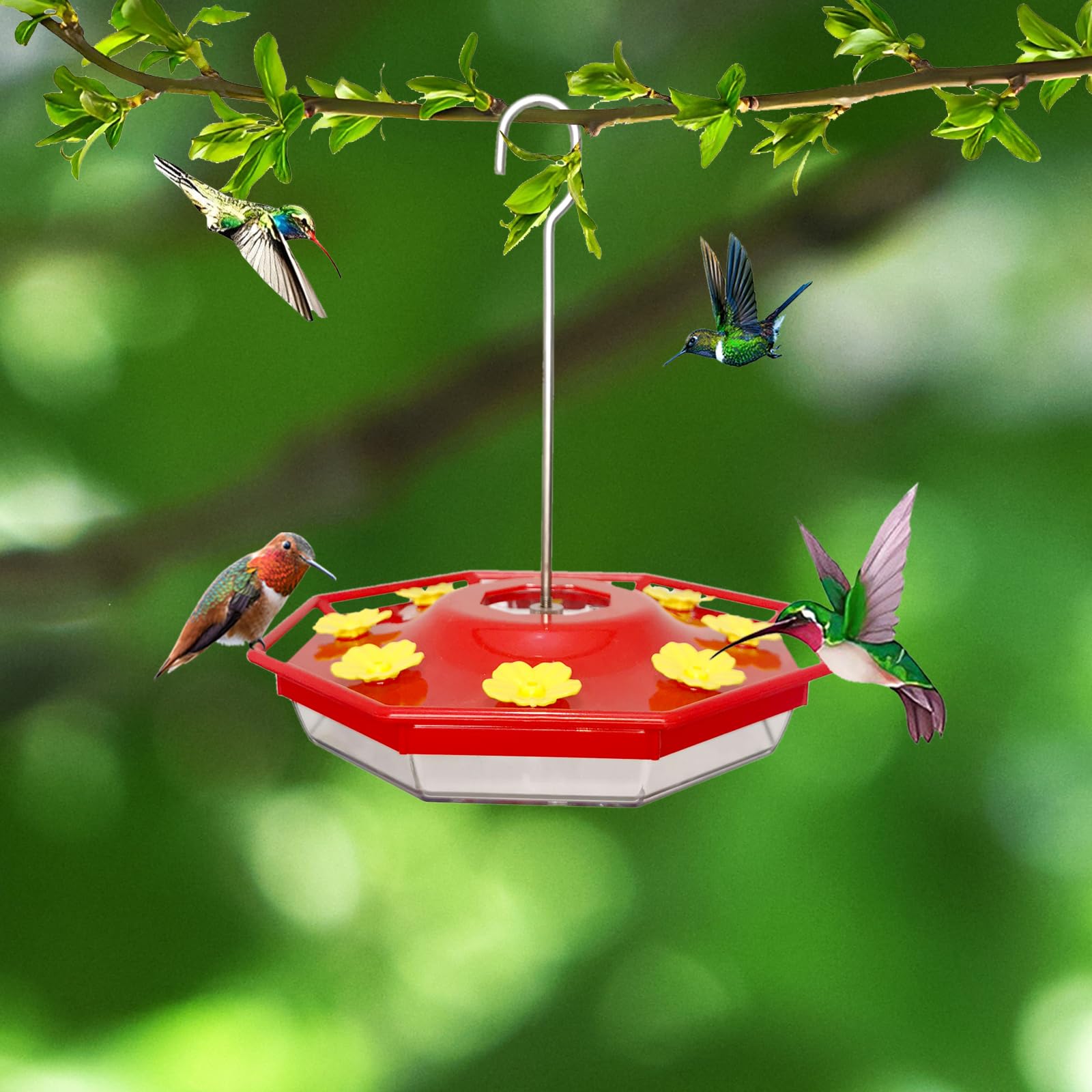 🐤Outdoor Hanging HummingBird Feeder