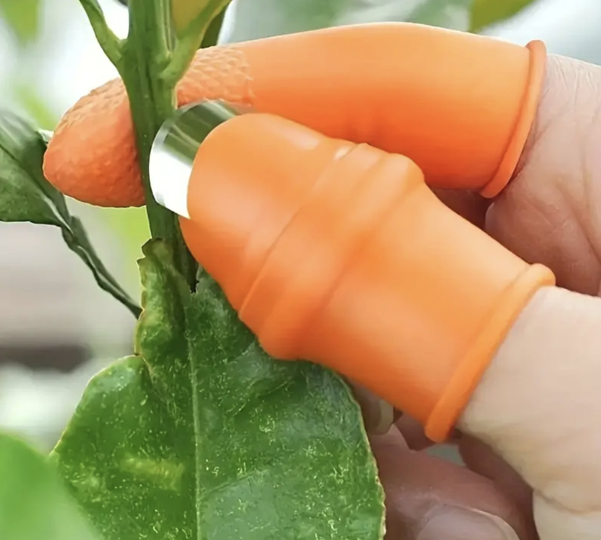 Multifunctional Thumb Cutter Gardening Tool